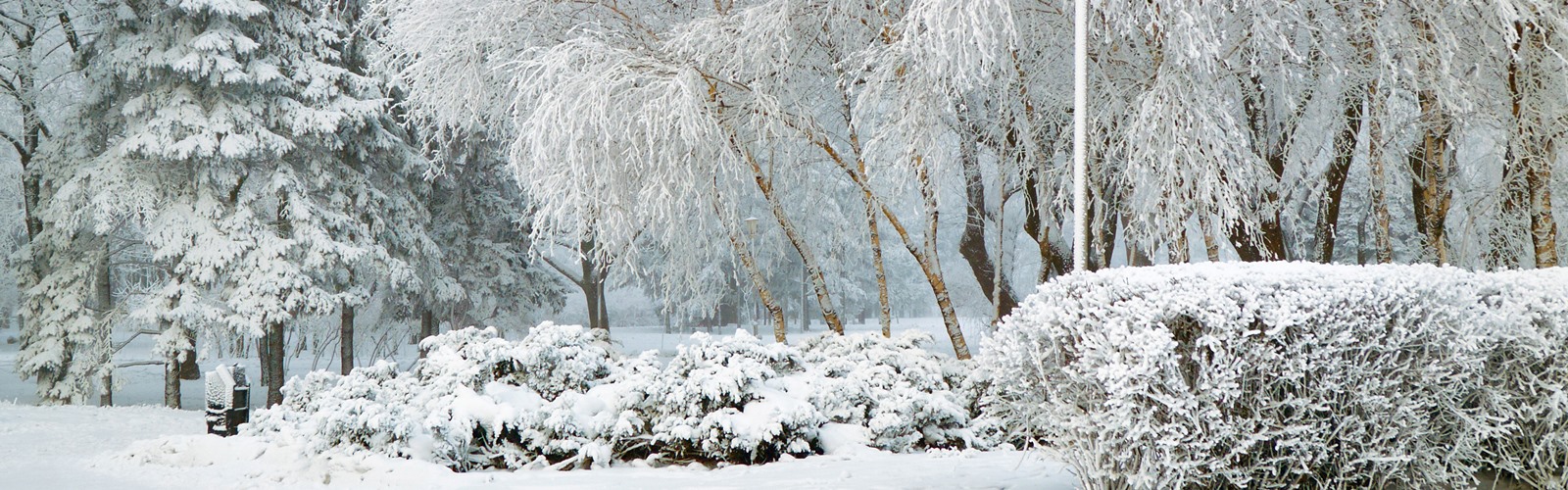 Extreme Cold - Region of Waterloo