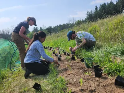 Three people are kneeling and planting in a pollinator garden
