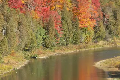 aerial view of the grand river in fall