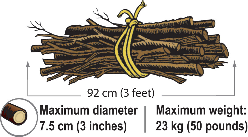 Bundled twigs