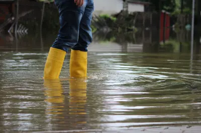 Rubber boots