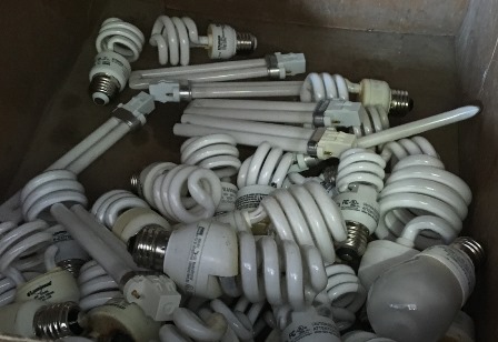 Various fluorescent light bulbs